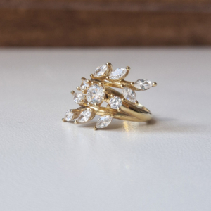 HASU Gioielli Laboratorio Orafo Salerno - COLLEZIONE NATURA - Anello argento 925 placcato oro con zirconi
